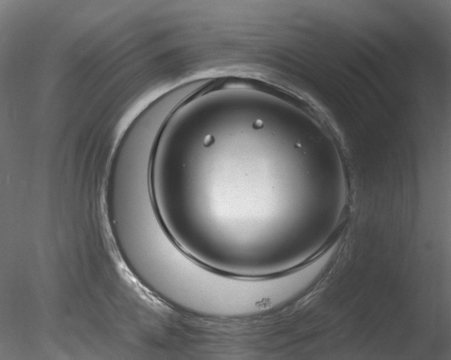 X0000078280952200611031205