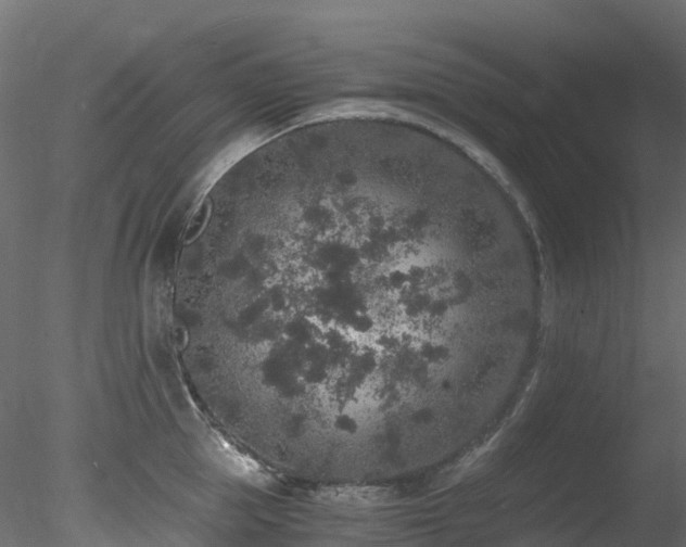 X0000078280953200611031205