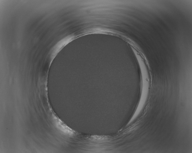 X0000078280954200611031205