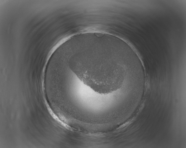 X0000078280957200611031205