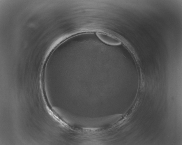 X0000078280958200611031205