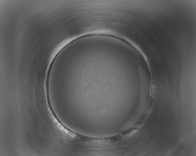 X0000078280959200611031205