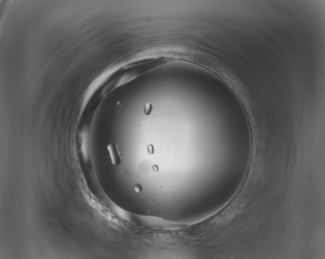 X0000078280960200611031205