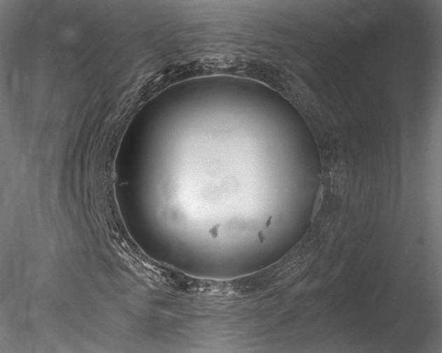 X0000078280961200611031204