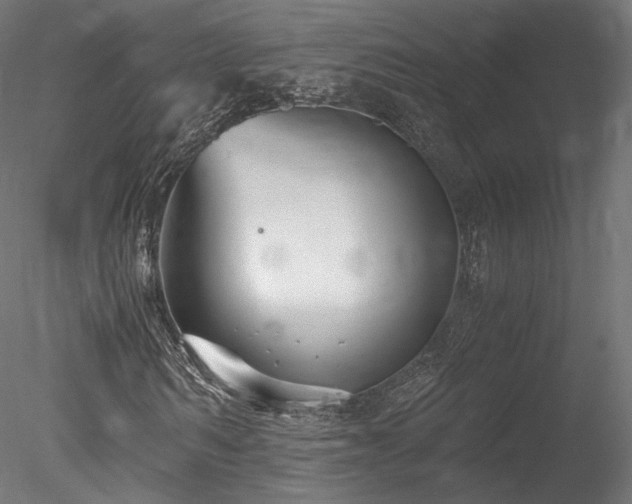 X0000078280962200611031204