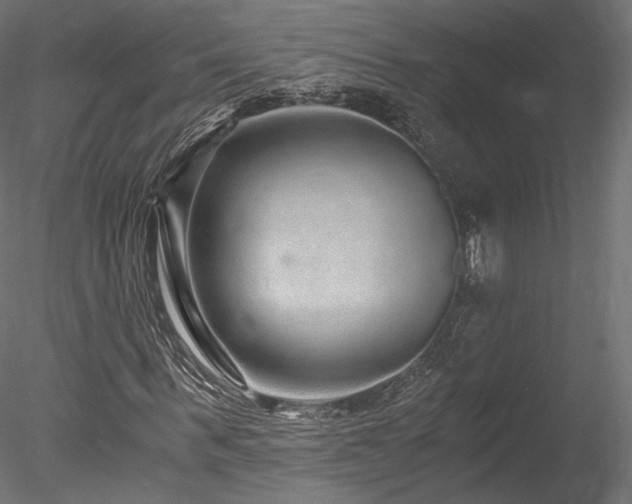 X0000078280963200611031204