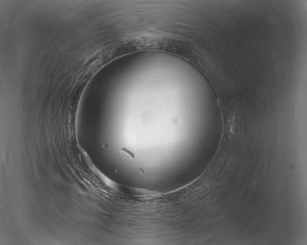 X0000078280964200611031204