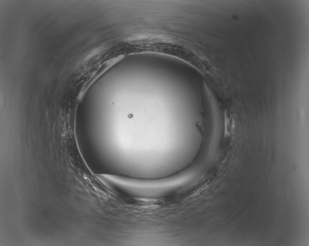 X0000078280965200611031204