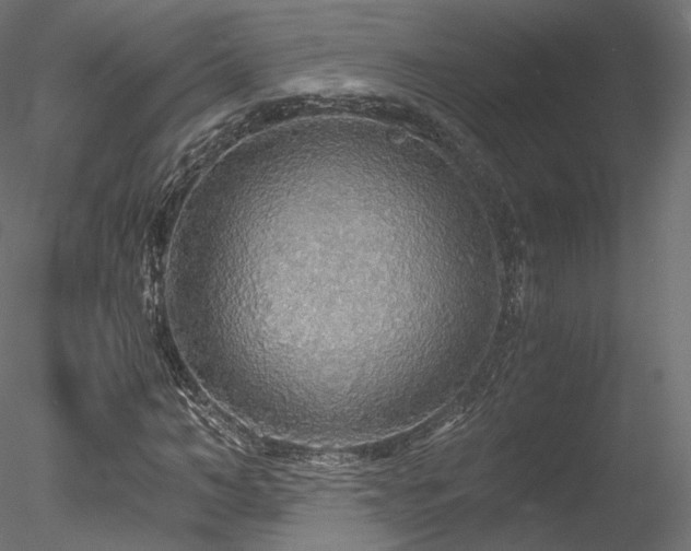 X0000078280966200611031204