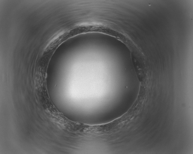 X0000078280967200611031204