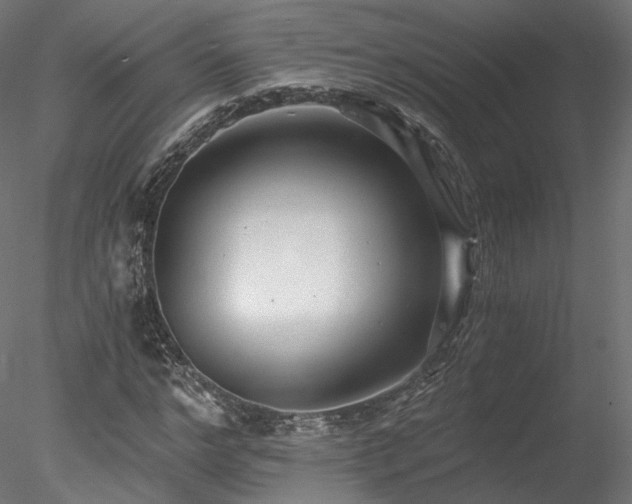 X0000078280968200611031204