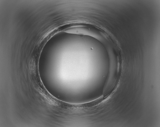 X0000078280969200611031204