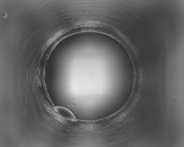 X0000078280970200611031204