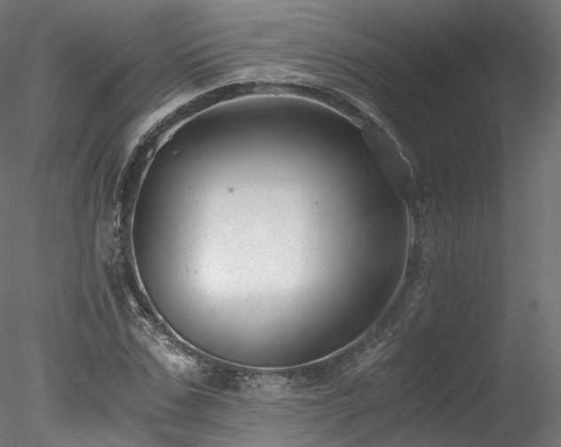 X0000078280971200611031204