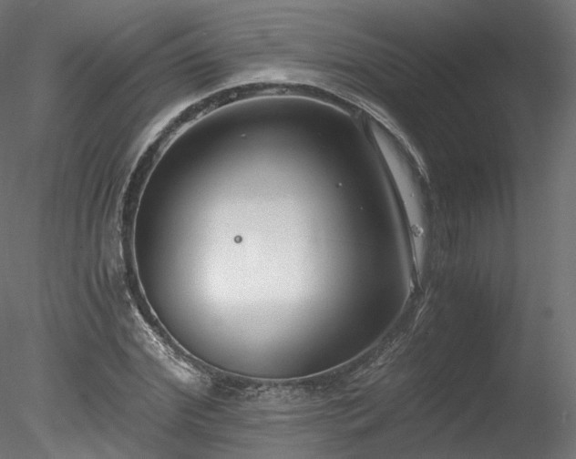 X0000078280972200611031204