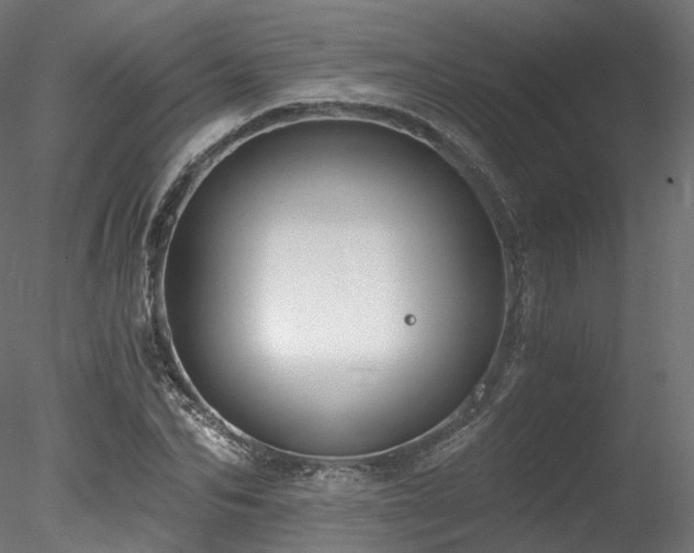 X0000078280974200611031204