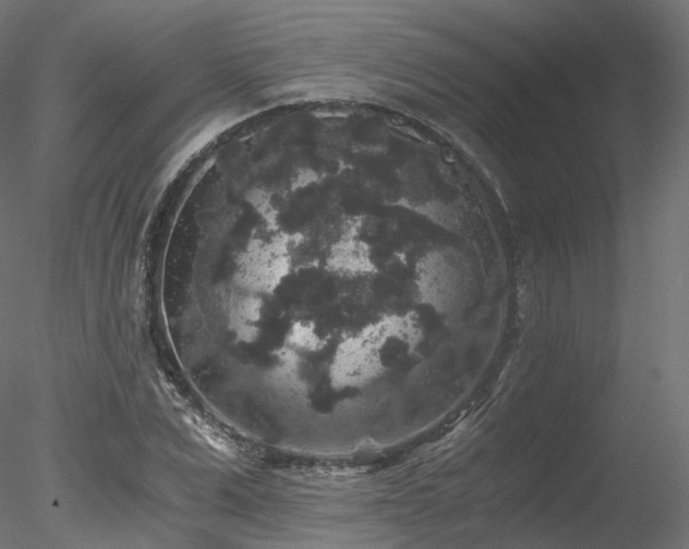 X0000078280975200611031204