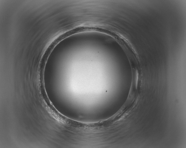 X0000078280976200611031204