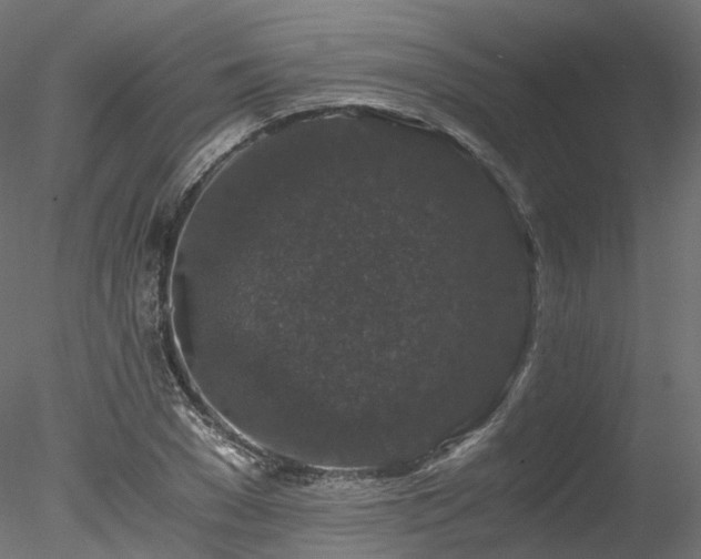 X0000078280977200611031204