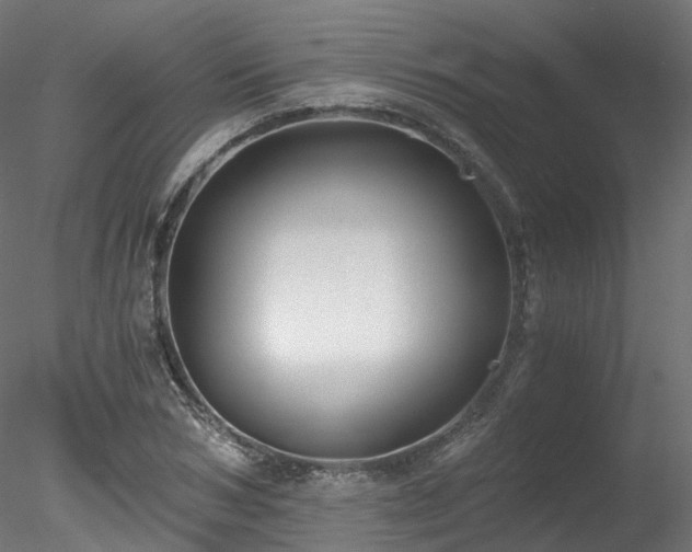 X0000078280978200611031204