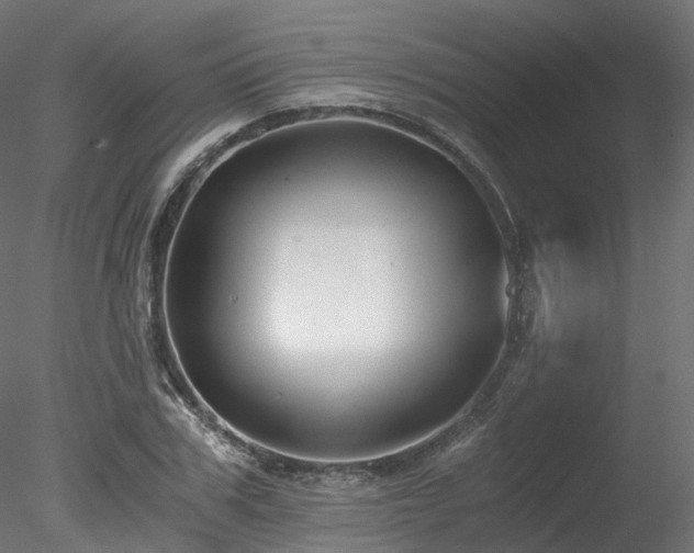 X0000078280979200611031204