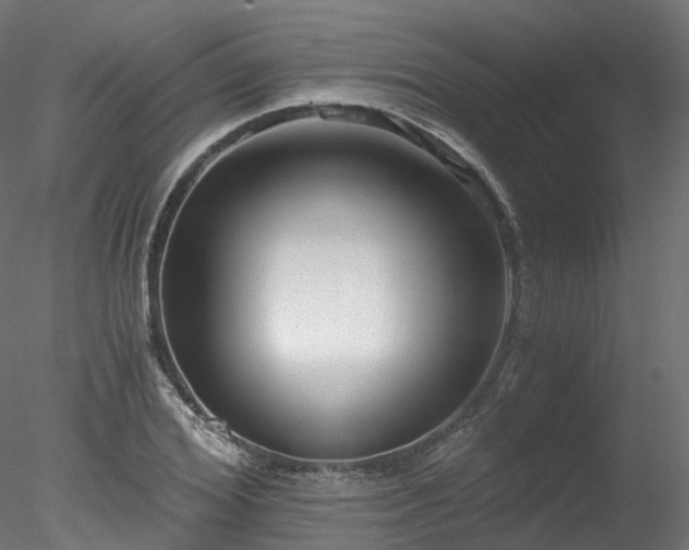 X0000078280980200611031204