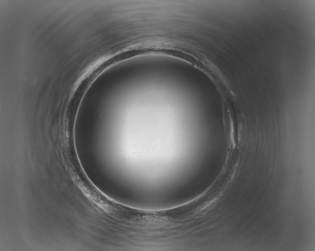 X0000078280981200611031204