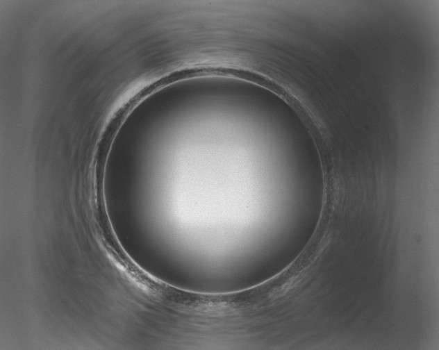 X0000078280982200611031204