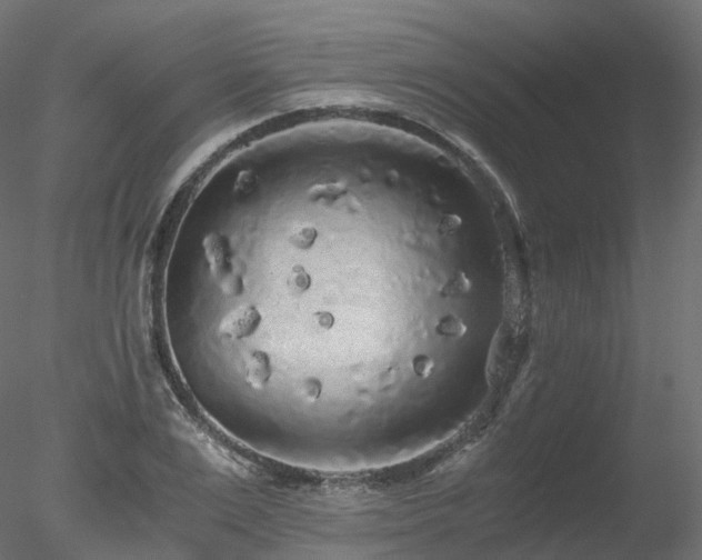 X0000078280983200611031204