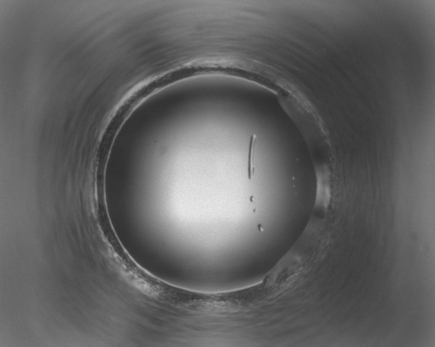 X0000078280984200611031204