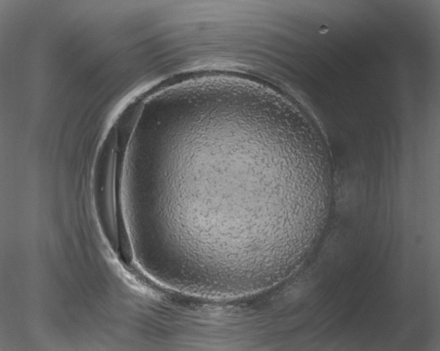 X0000078280987200611031204