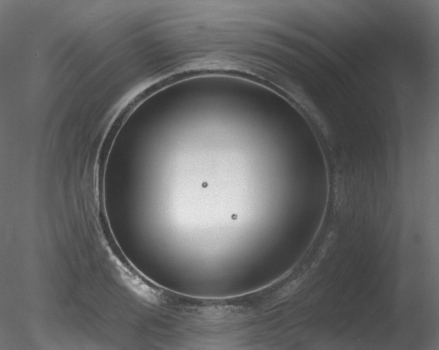 X0000078280988200611031204