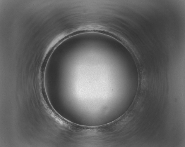 X0000078280990200611031204