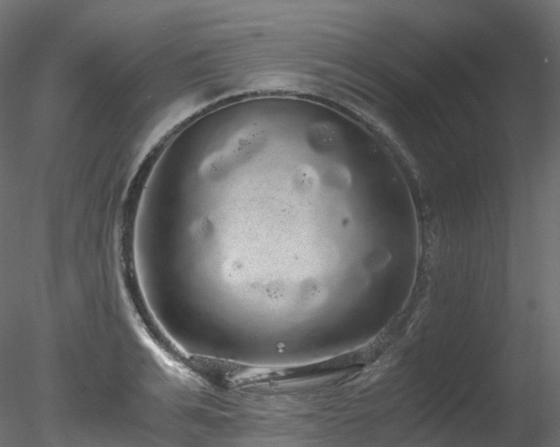 X0000078280991200611031204