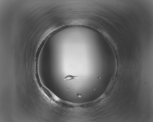 X0000078280992200611031204