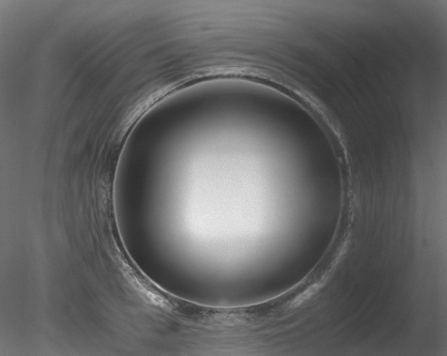 X0000078280993200611031204