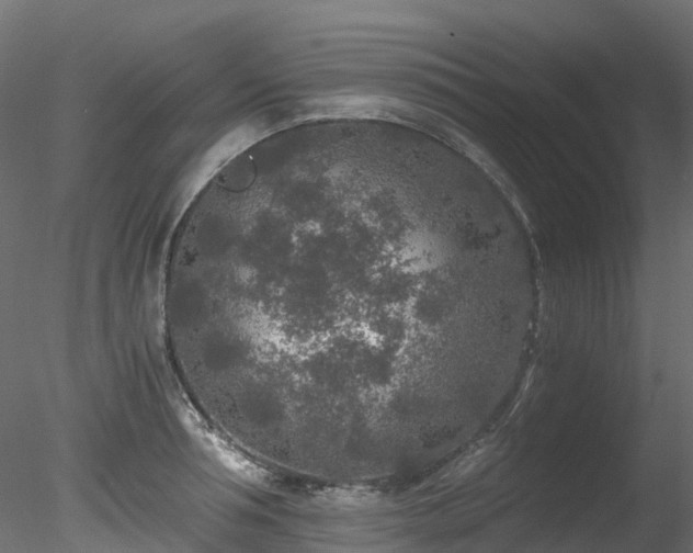 X0000078280994200611031204