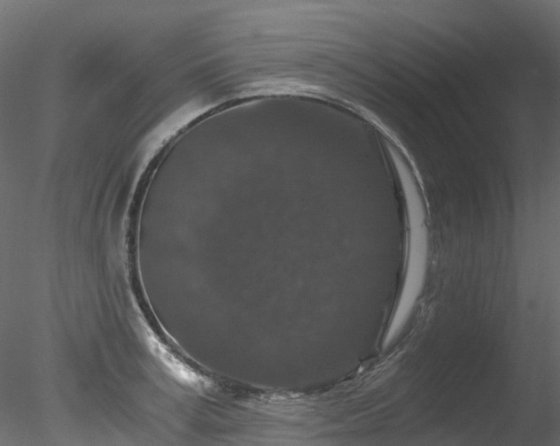 X0000078280995200611031204