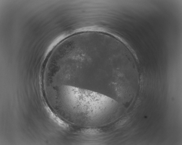 X0000078280998200611031203