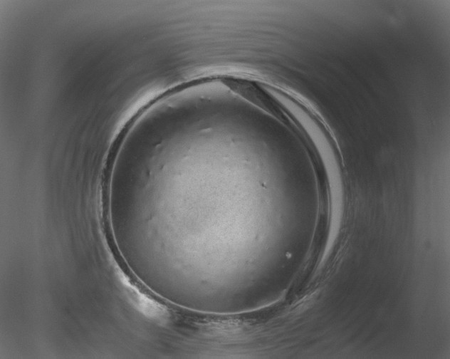 X0000078280999200611031203