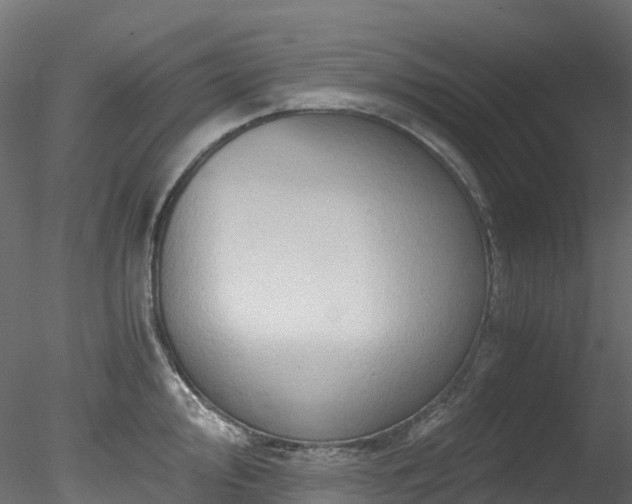 X0000078281000200611031203