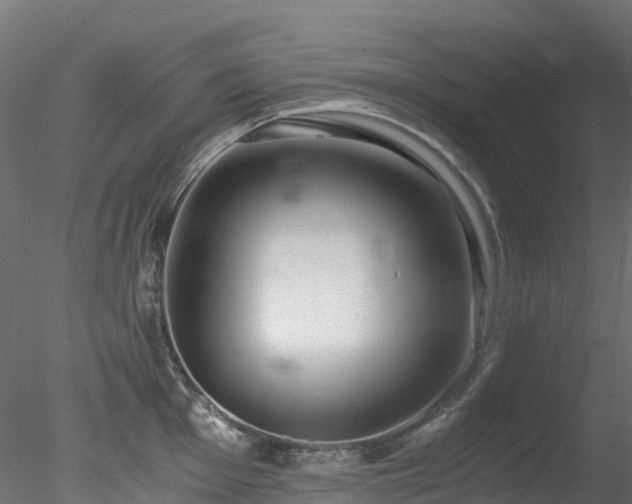 X0000078281001200611031203