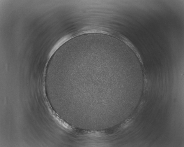 X0000078281002200611031203