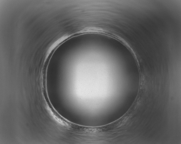 X0000078281003200611031203