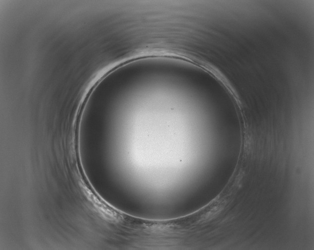 X0000078281004200611031203