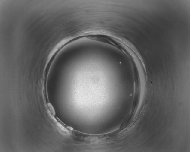 X0000078281005200611031203