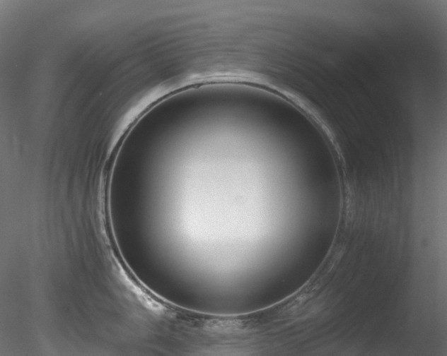 X0000078281006200611031203