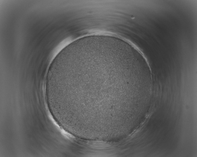 X0000078281007200611031203