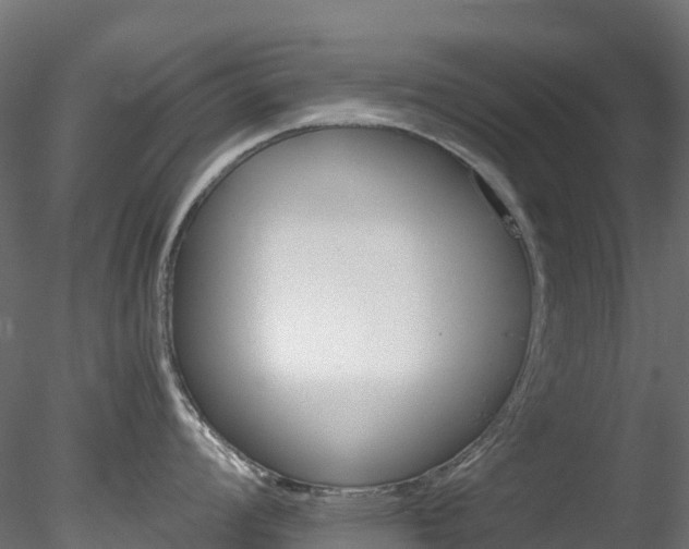 X0000078281008200611031203