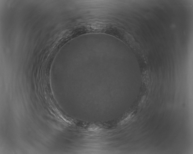 X0000078281009200611031202